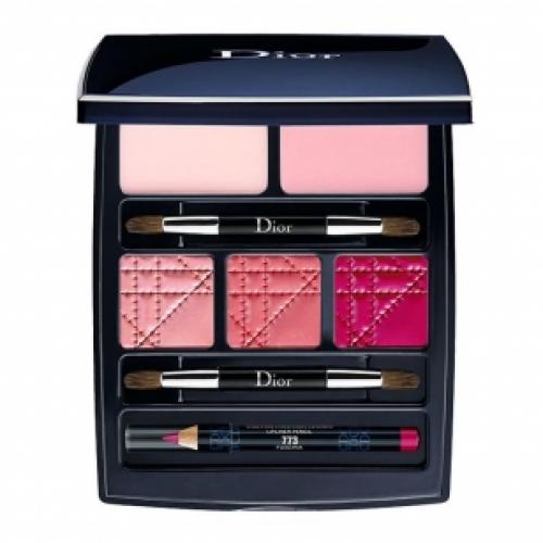 Dior lip palette online